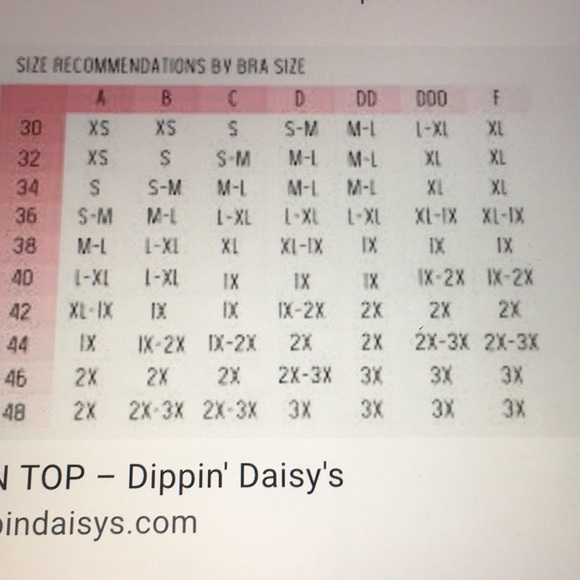 Dippin daisy’s zuma Bikini top NWT - Picture 6 of 6